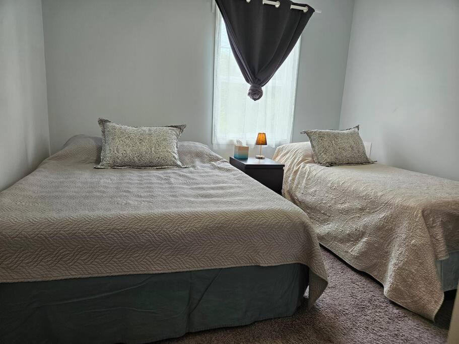 Séjour chez l'habitant W Zuku The Cat - 10 Mins From Downtown, 20 From Airport Indianapolis